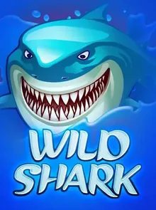 Wild Shark